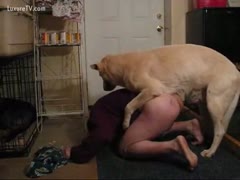 The dog bonks him and gives priceless pleasure